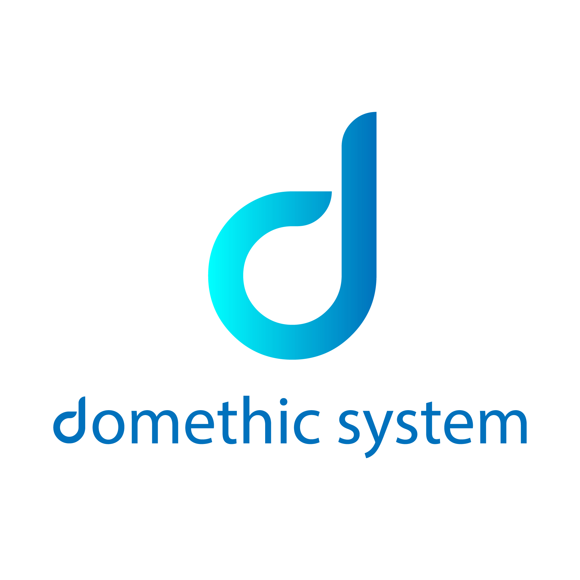 Domethic System logo